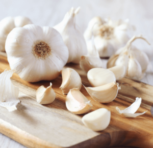 garlic trader in india