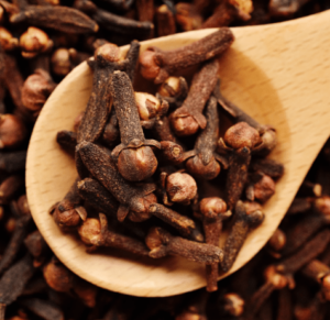 clove trader in india
